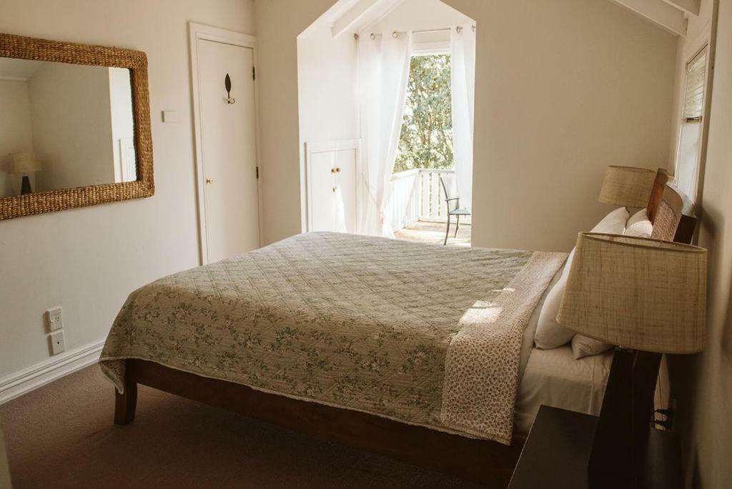 Bow Street Apartments & Cottage Raglan Luaran gambar